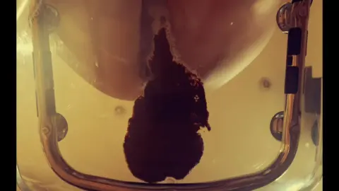 Arisdark – Poop in Transparent Chair