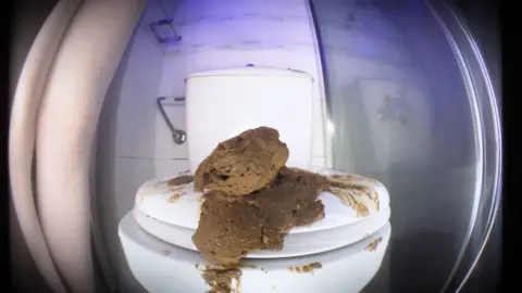 Betty Parlour – It’s All About Delicious Shit