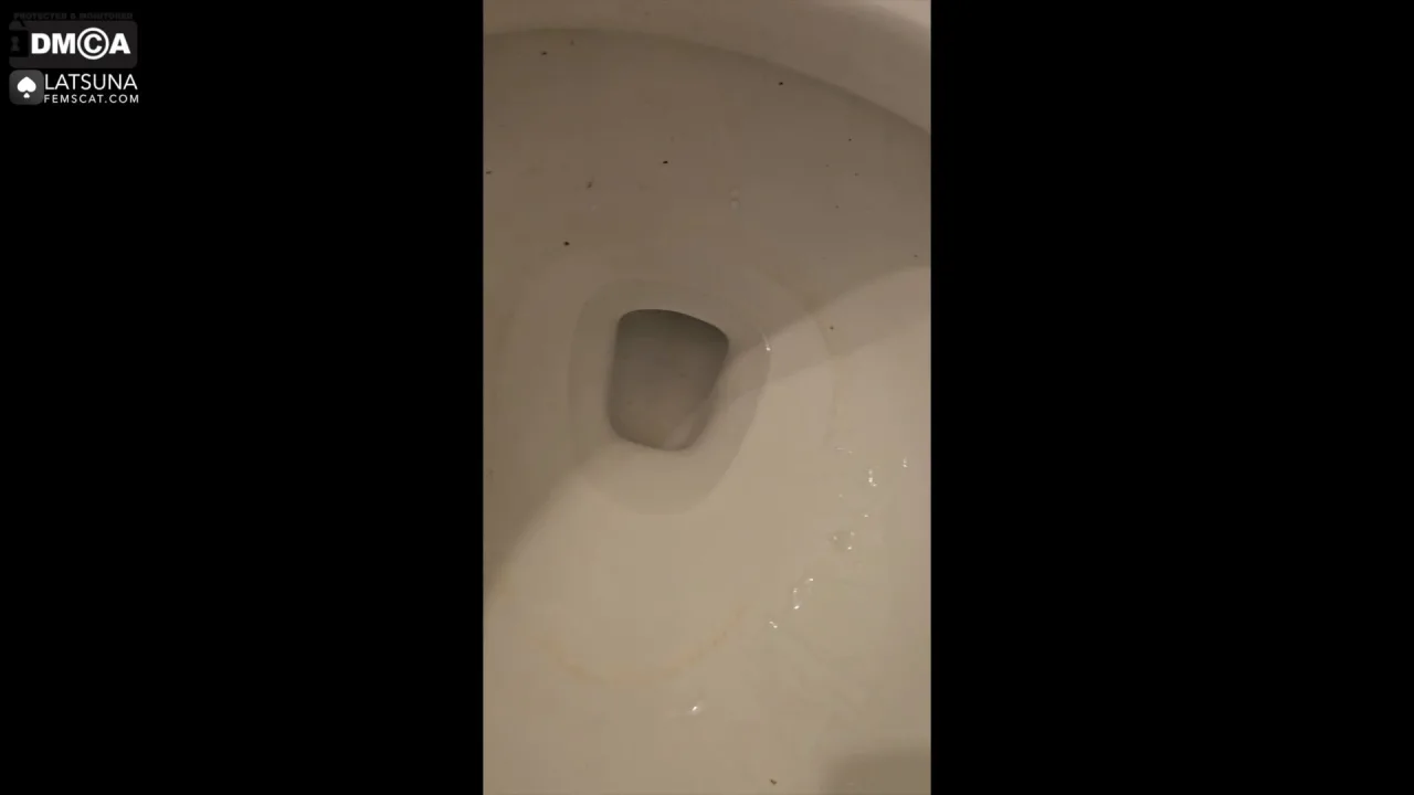 LaTsuna – Toilet Miracle